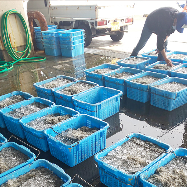 下村喜作商店イメージ